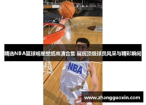 精选NBA篮球明星壁纸高清合集 展现顶级球员风采与精彩瞬间